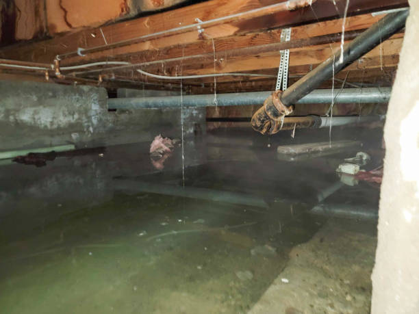 Best Fire Damage Restoration  in Manti, UT