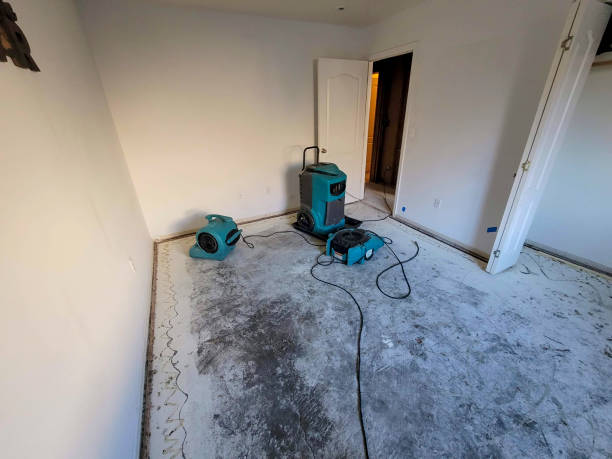 Best Flooded house restoration  in Manti, UT