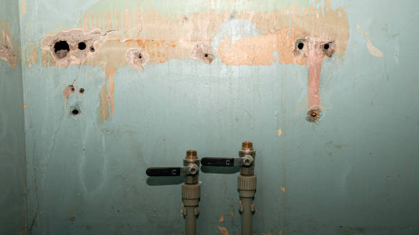 Best Professional water damage repair  in Manti, UT